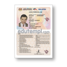 USA New Jersey driving license template